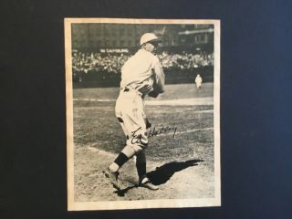 1932 - 34 Ed Holley Philadelphia Phillies 8x10 Premium Photograph