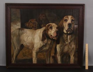 Large Antique Henry Poore Chromolithograph Bear Hunting Dogs,  Nr