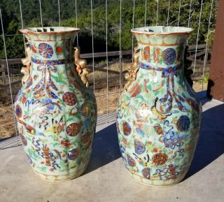 Antique Chinese Famille Rose Porcelain Celadon Glaze Vases Phoenix Butterfly