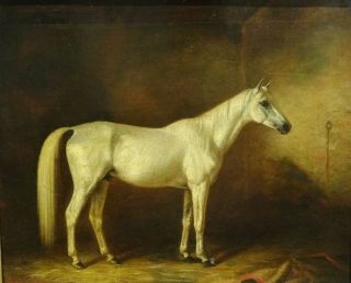 Large 19th Century English Grey Horse Portrait In A Stable Thomas Woodward