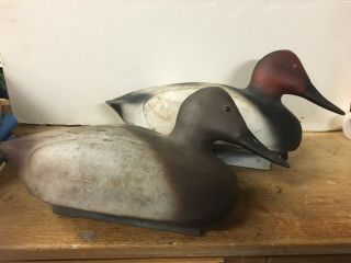 Vintage Canvasback Duck Decoy Pair - Rare Species