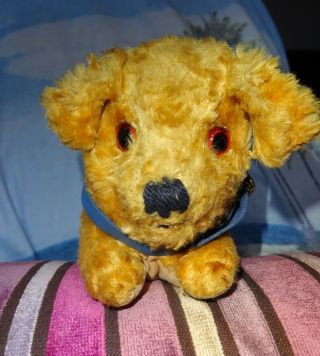 Antique Vintage Teddy Bears Old Dog 1940`s Little Clutch Pram Toy 10 " Tail - Nose