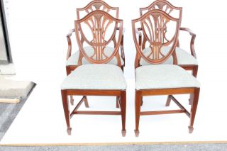 Gorgeous Set Of Six 6 English Hepplewhite Mahogany Dining Room Chairs,  C.  1930