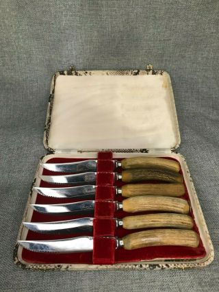 Cased Set Of Vintage Stag Antler Steak Knives Snake Print Box Sheffield England