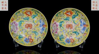 Pair Chinese Yellow Ground Famille Rose Floral Dish Imperial Guangxu M&p