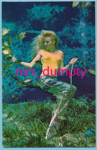 Fl Weeki Wachee Mermaid Sitting Florida Roadside Chrome Vintage Postcard
