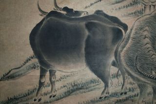 Antique Chinese Hanging Scroll Painting Watercolor - Cows,  Farmers 19th Century 3