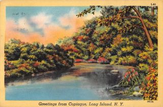 Copiague Long Island York Greetings Scenic View Vintage Postcard Je229097
