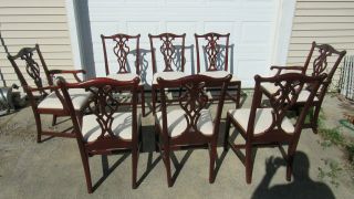 Set Councill Mahogany Dining Room Chairs Chippendale Eight
