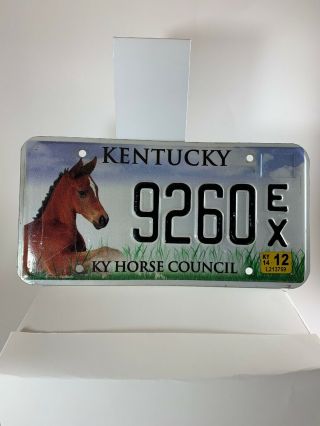 Kentucky (ky) Horse Council Horse Racing Derby License Plate “9260ex”