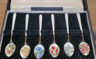 6 Sterling Silver Demitasse Spoons Enameled Floral Print Gold Plated Birmingham