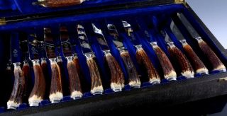 MOST INCREDIBLE ANTIQUE STAG HORN HANDLE 32pc CARVING DINNER KNIFE FORK SET 3