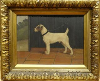 Fine 19th Century English Parsons Terrier Dog Portrait In A Stable Antique