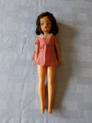 Vintage Ideal Toy Company Tammy Doll Bs - 12
