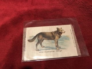 Vintage 1910 - 12 Old Mill Cigarettes Collector Silk,  Wild Australian Dingo.