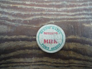 Vintage Scenic Dairy Port Austin Michigan Milk Bottle Cap Rare Thumb Ubly