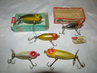 5 Heddon Torpedo Lures.  4 Tiny,  1 Baby And 1 Box,  Lures.