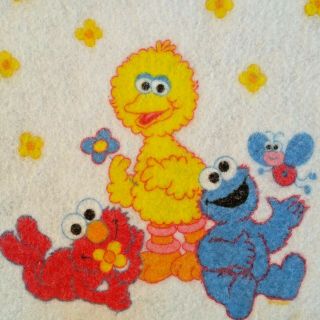Vintage Sesame Street Baby Blanket Acrylic Nylon Satin Trim Riegel 36 x 45 