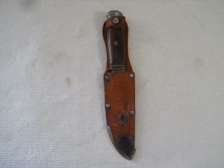 Antique Vintage Fixed Blade G.  C.  Co.  Solingen Germany Hunting Knife & Scabbard