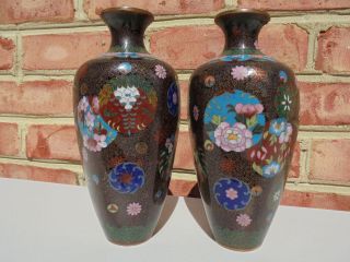 Pair Antique Japanese Cloisonne Vases Black Ground Stylized Floral 7 1/2 "