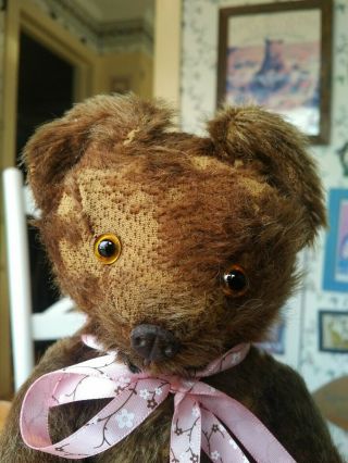 Antique Vintage 1920s Mohair Knickerbocker Teddy Bear With Metal Nose 11in Guc