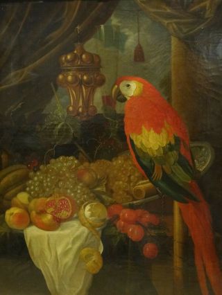 Huge 18th Century Dutch Old Master Parrot Still Life Fruit Nurnberg Cup