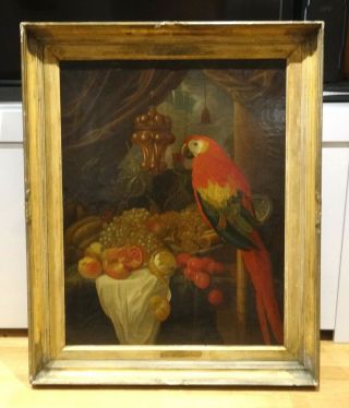 Huge 18th Century Dutch Old Master Parrot Still Life Fruit Nurnberg Cup 2