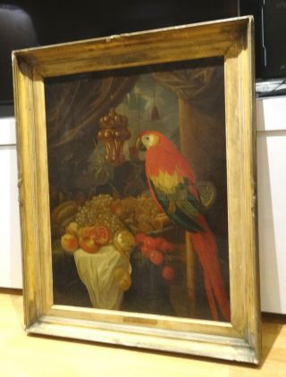 Huge 18th Century Dutch Old Master Parrot Still Life Fruit Nurnberg Cup 3