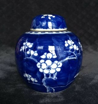 19th Century Antique Chinese Qing Dynasty Kanxi Blue Prunus Porcelain Ginger Jar