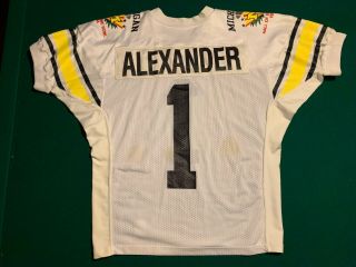 University Of Michigan Wolverines Game Model Bowl Game Jersey Sz44 1 Alexander