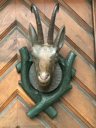 Old Austrian Black Forest Chamois Mountain Goat Head Hand Carved Wood C1860