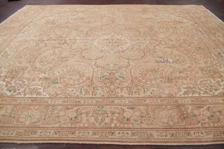 Vintage Muted Pale Peach Distressed Area Rug Oriental Carpet Handmade 10x13