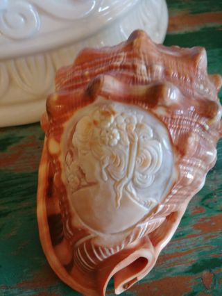 Vintage Carved Conch Shell W/ Carved Cameo Goddess Portrait Women Sea Shell
