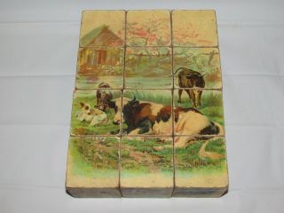 Vintage Antique 1897 Animal Puzzle Blocks By Mcloughlin Bros.  Ny 6 Puzzles In 1
