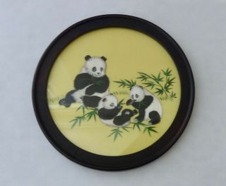 Vintage Embroidered On Silk Picture Of 3 Pandas & Bamboo - In Round Frame