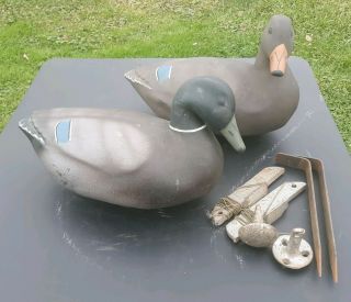 2 Vintage Hunting Inflatable Duck Rubber Decoys Rex Mfg.  Co. ,  Stake & Anchors