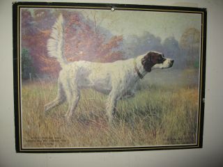 Vintage Lithograph Print Of Luminary 1939 National Bird Dog Champion E.  I Dupont
