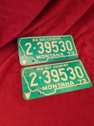 Antique 1973 Montana Big Sky Country License Plate Tag Vtg Pair