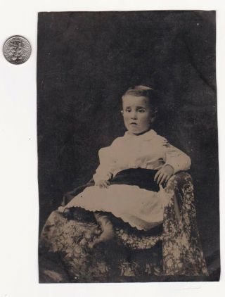 Large Vintage Antique Tin Type Photo Little Boy In Dress