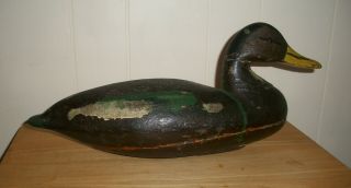 Antique Wooden Mallard Duck Decoy Hand Carved W/glass Eyes Signed S.  C.