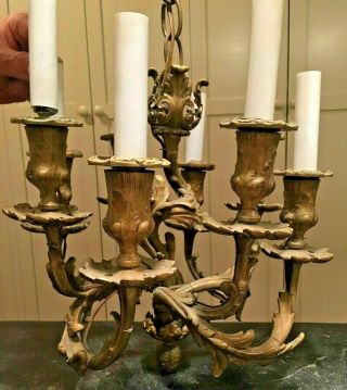 Antique Louis Xv Rococo Revival 8 - Light Bronze Brass Petite Chandelier W/ Faces