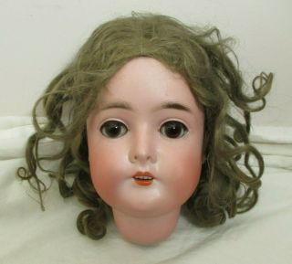 Antique German Queen Louise 9 Bisque Doll Head Sleep Eyes Hair Lashes Open Mouth