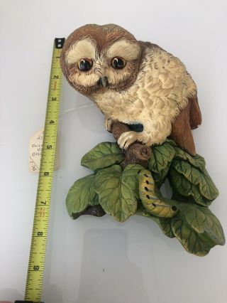 Vintage 1965 Bossons Chalkware Owlet /owl On Branch Wall Plaque England