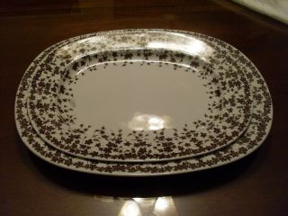 (2) Antique Royal Worcester Brown Transfer Ware,  Trailing Ivy Platters,  Ca 1860s