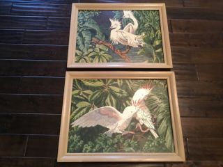 Pr Vintage Paint By Numbers Tropical Birds 27 X 21 Painted Frames Leaves Jungle