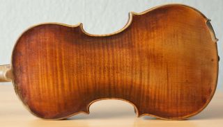 Old Violin 4/4 Geige Viola Cello Fiddle Label Dominicus Montagnana