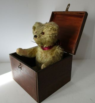 Adorable Antique Primitive Jointed Mohair Teddy Bear In A Antique Wooden Box