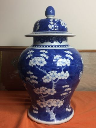 Large Antique Chinese B/w Vase And Cover