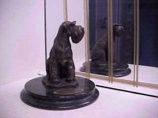 Vintage Schnauzer Dog Bronze Sculpture Statue on Marble Base - Signed 2