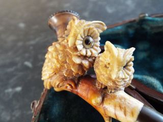 Antique Small Meerschaum Smoking Pipe in Case Two Small Owls 4 